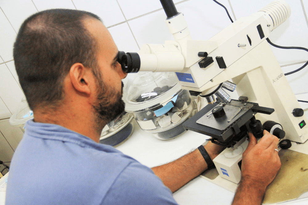 A capacidade competitiva da Sical está diretamente ligada à sua habilidade de inovar. 2 TEXTO 02 1